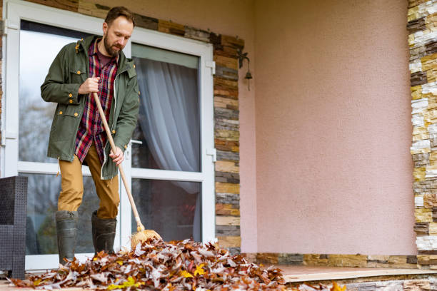 Best Yard Cleanup Services  in Tecumseh, MI